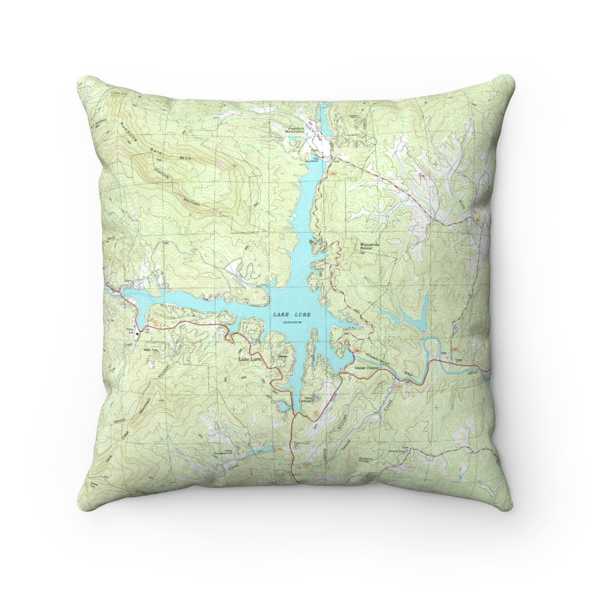 Lake Lure North Carolina vintage map pillow