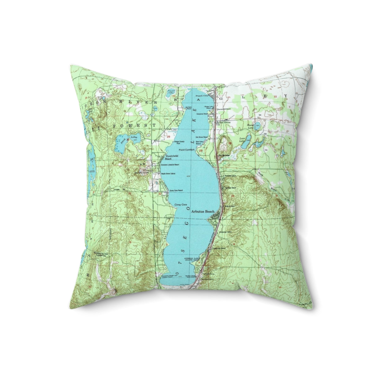 Otsego Lake Michigan vintage map pillow