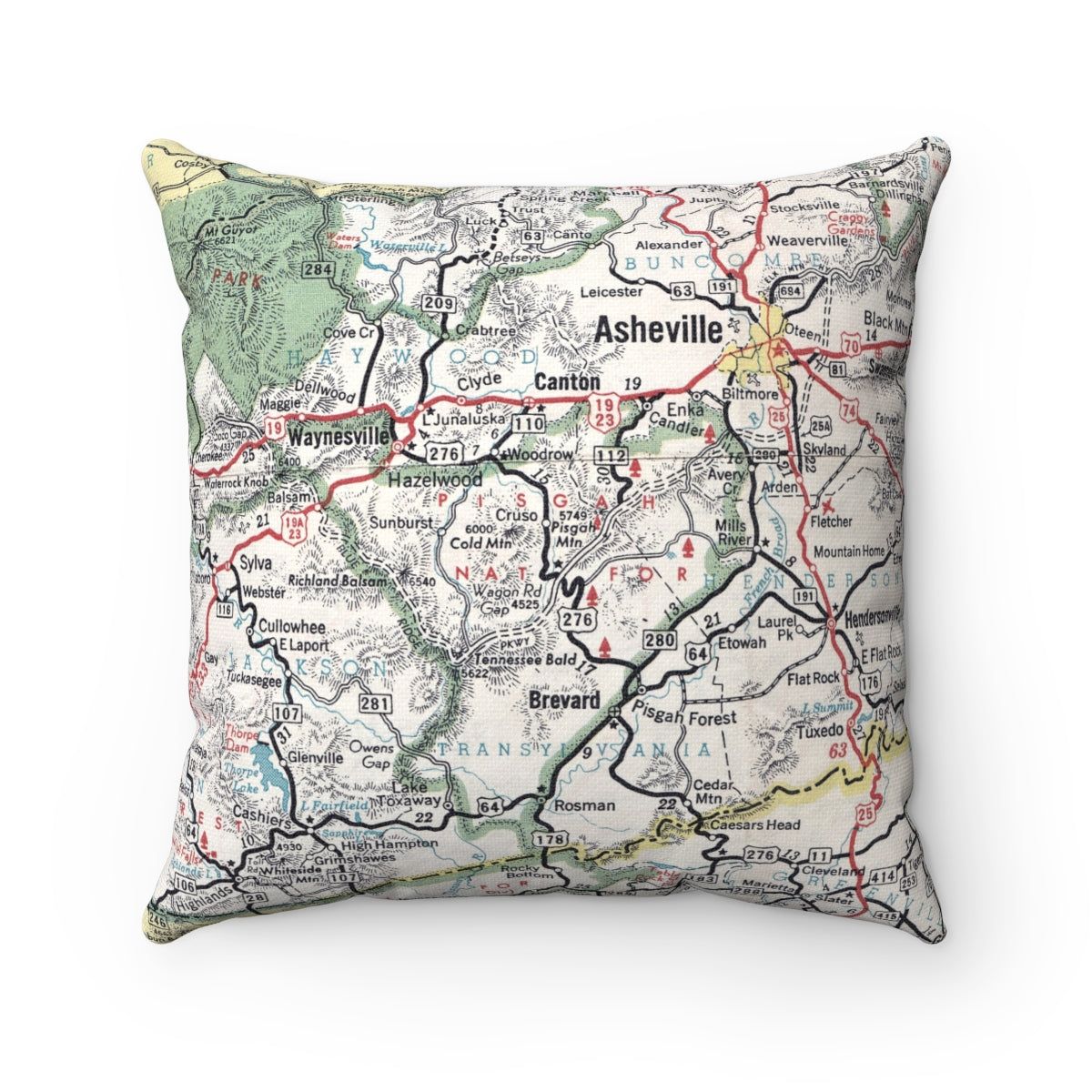Pisgah National Forest vintage map pillow