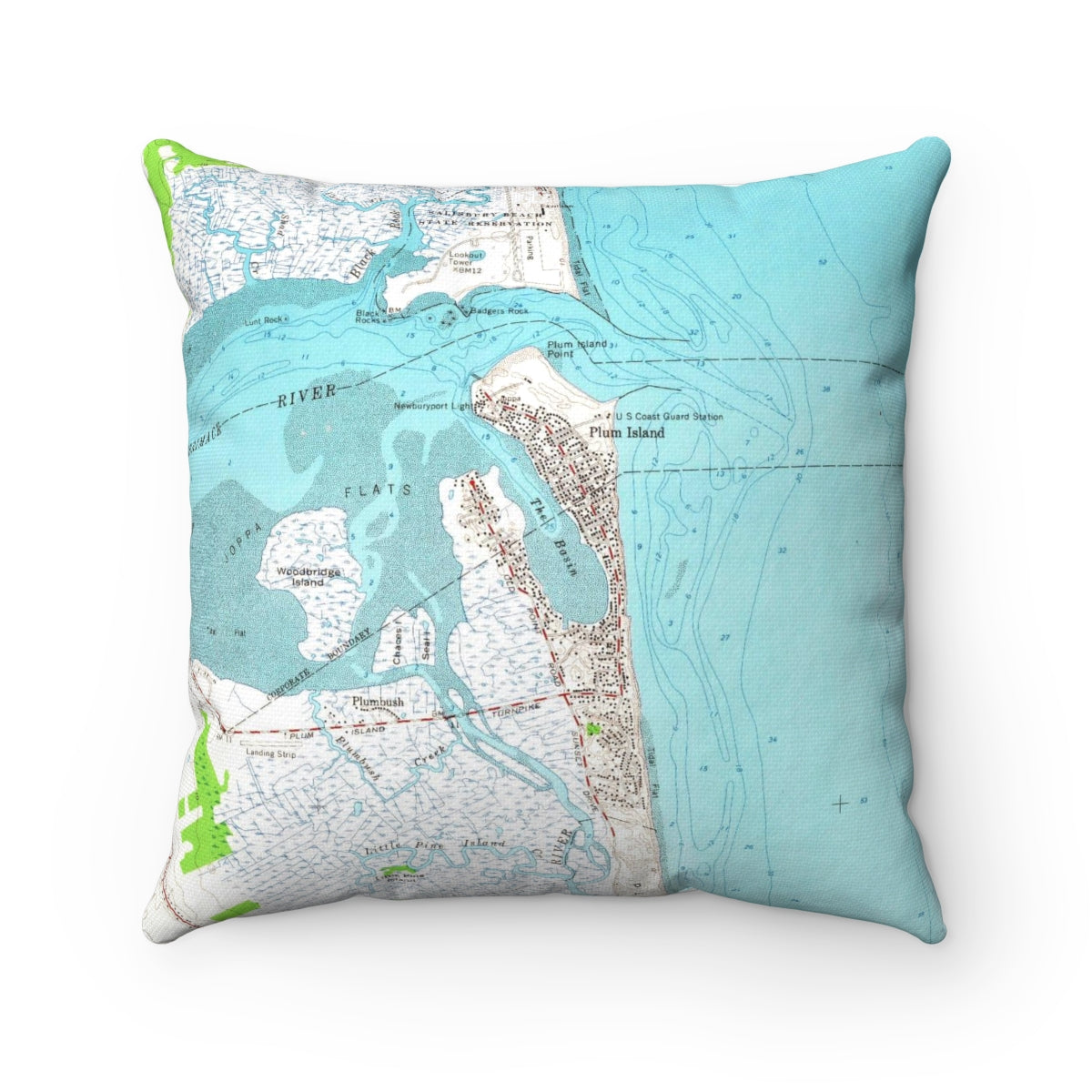 Plum Island Massachusetts vintage map pillow