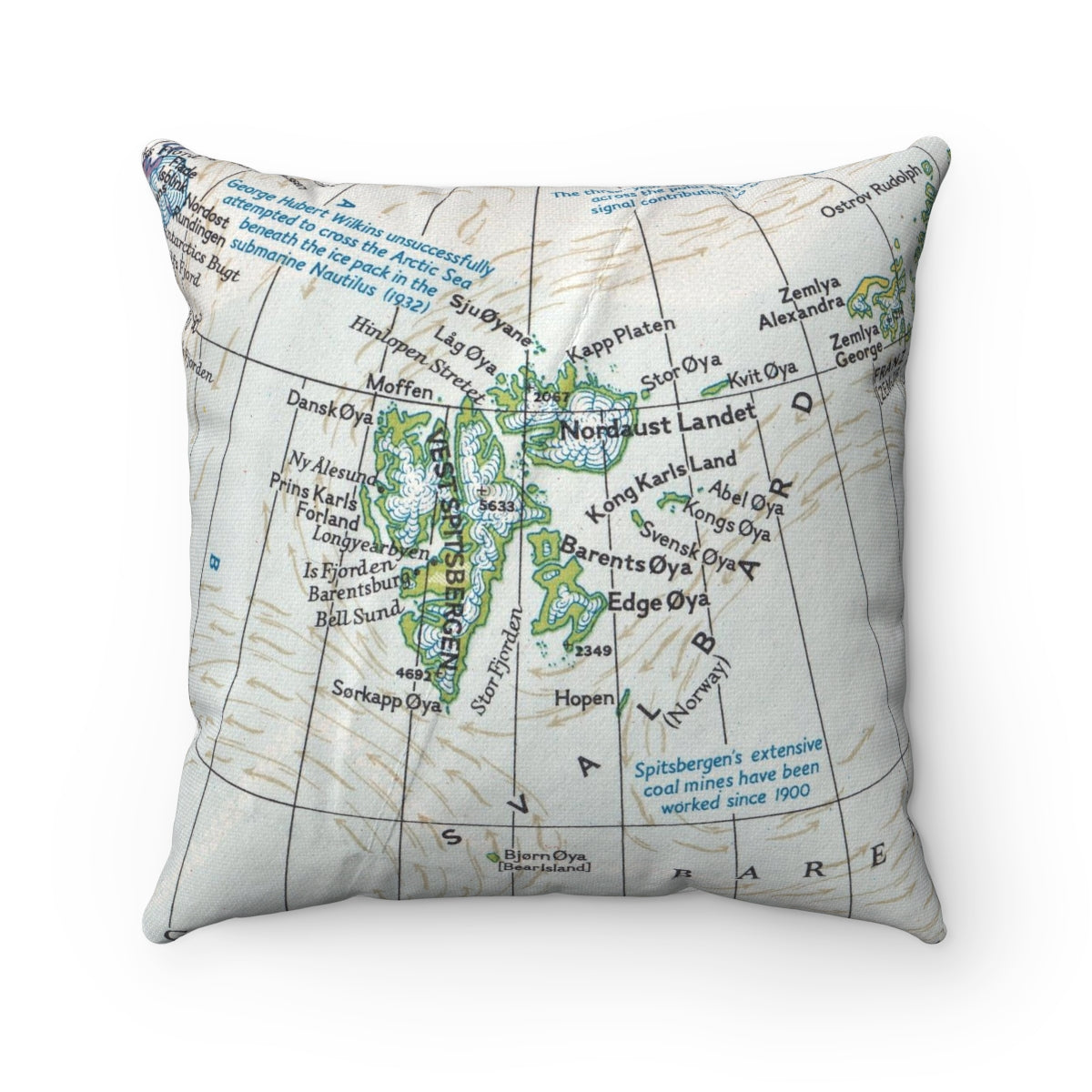Svalbard pillow