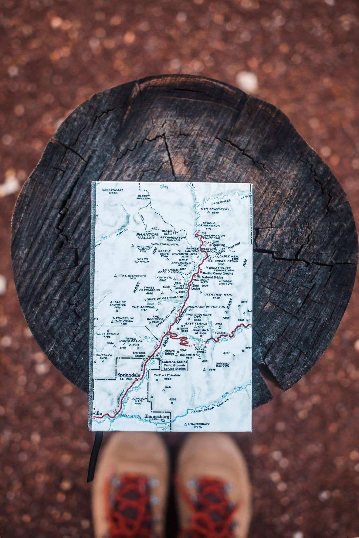 Vintage map journal on a tree stump