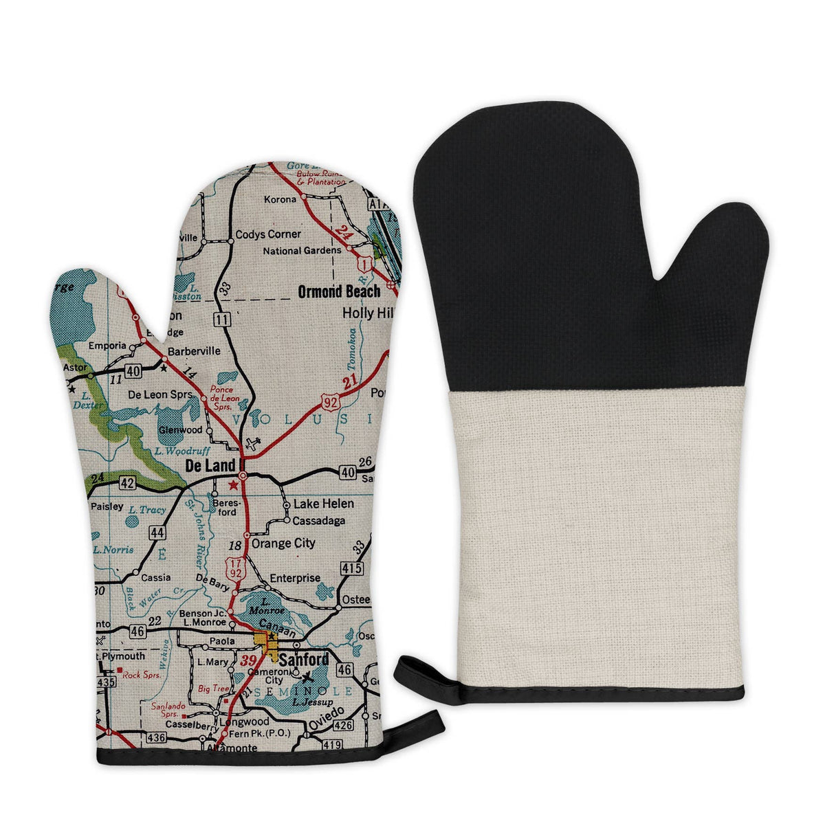 DeLand Florida vintage map oven mitt