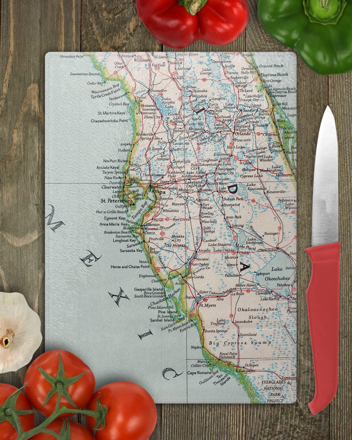 Florida Gulf Coast vintage map glass cutting board