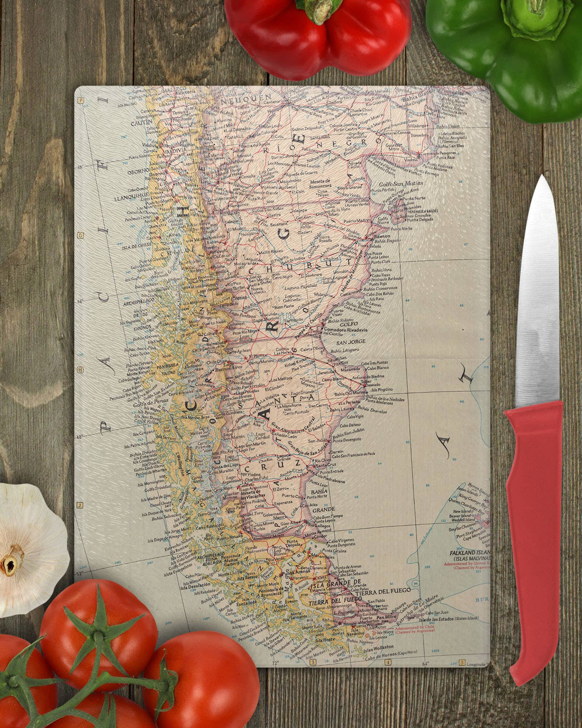 Patagonia vintage map glass cutting board