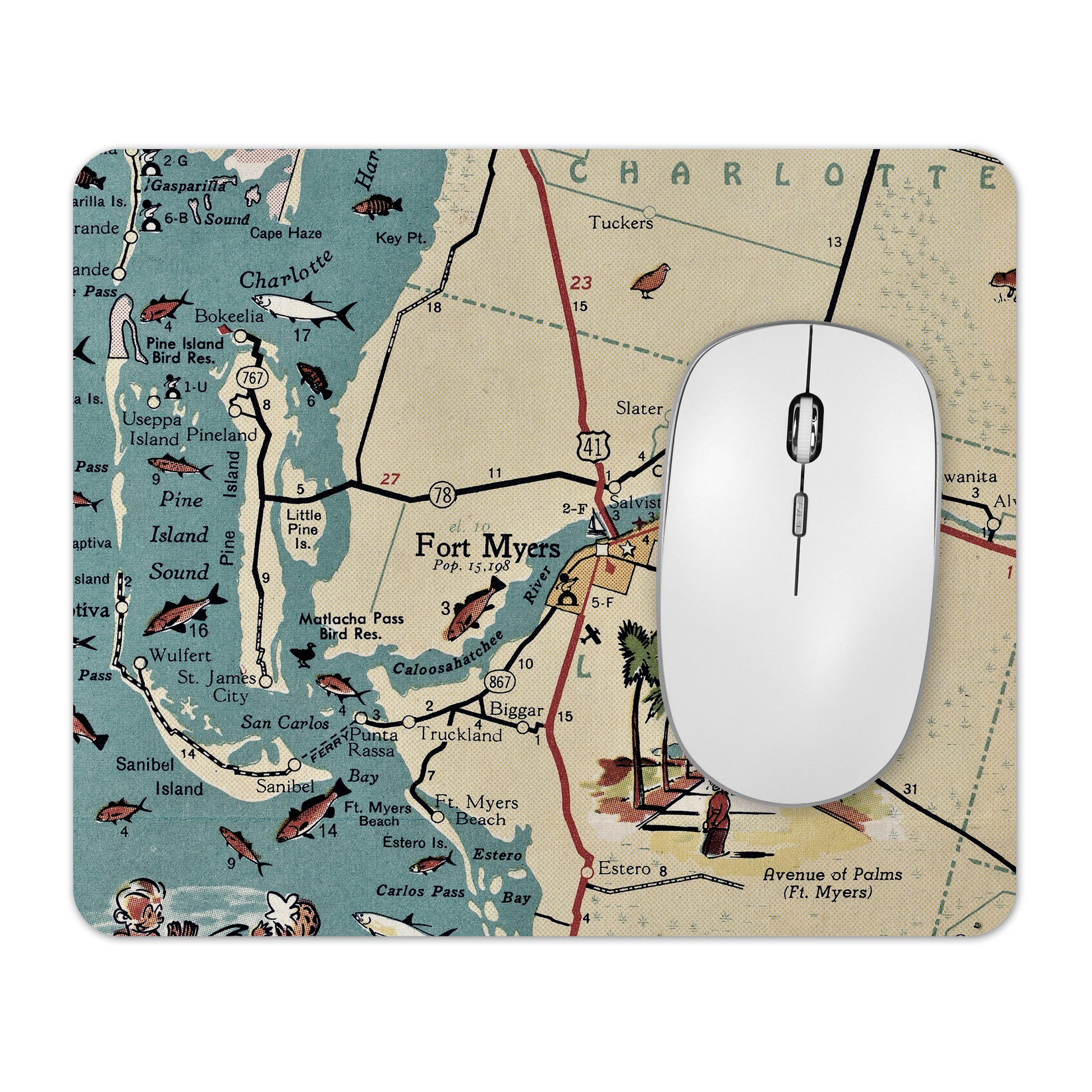 Fort Myers Florida mousepad