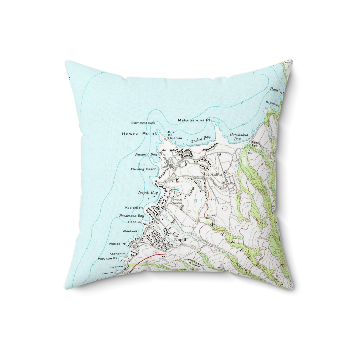 Kapalua Hawaii vintage map pillow