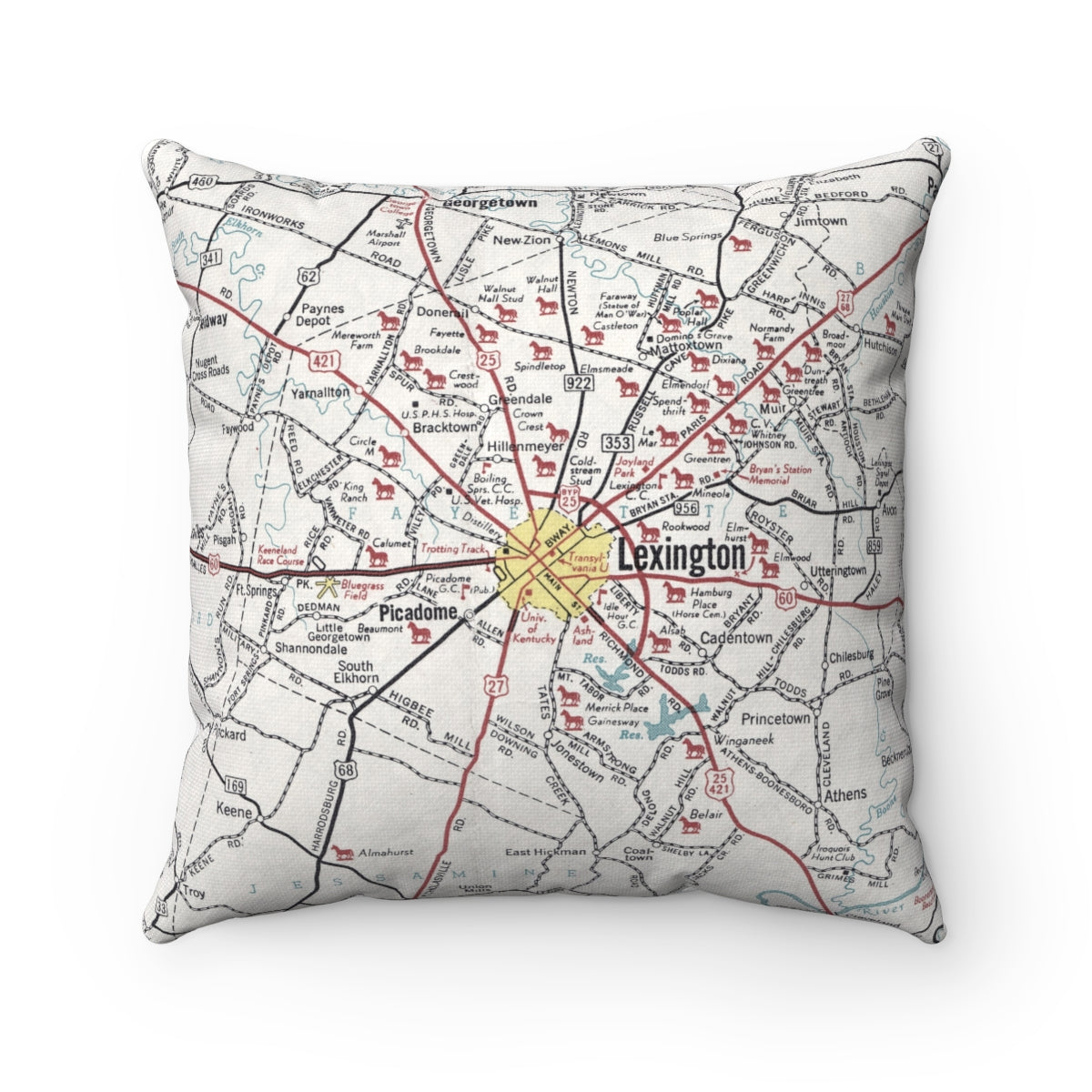 Lexington Kentucky vintage map pillow