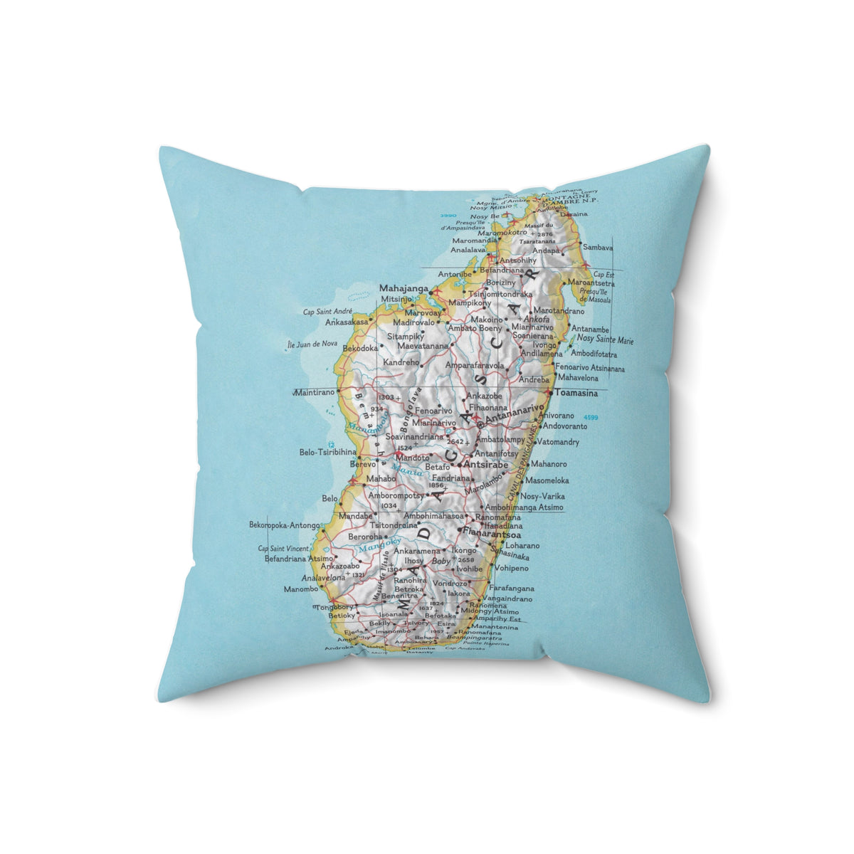 Madagascar Vintage Map Throw Pillow