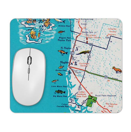 Naples Florida mousepad