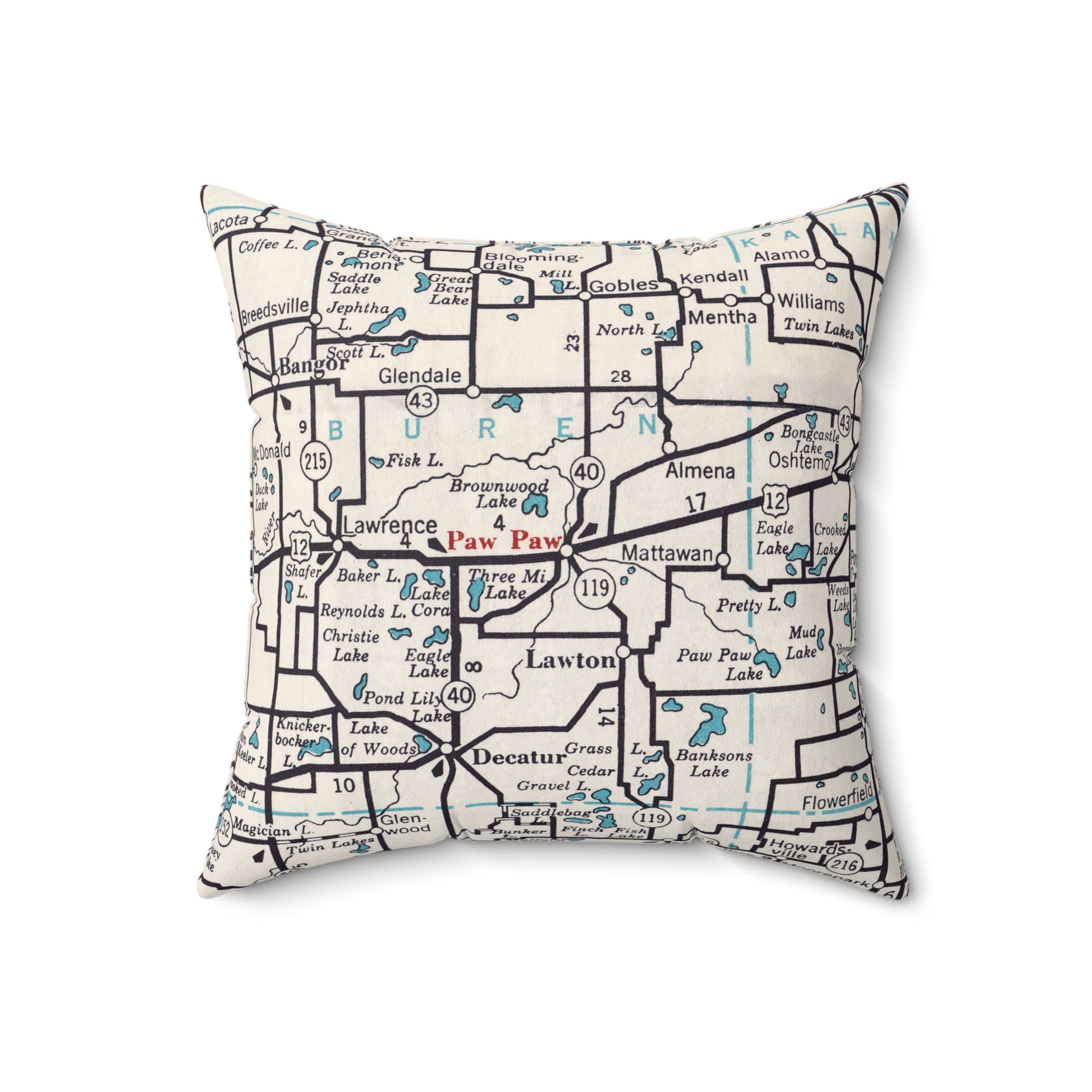 Paw Paw Michigan vintage map pillow