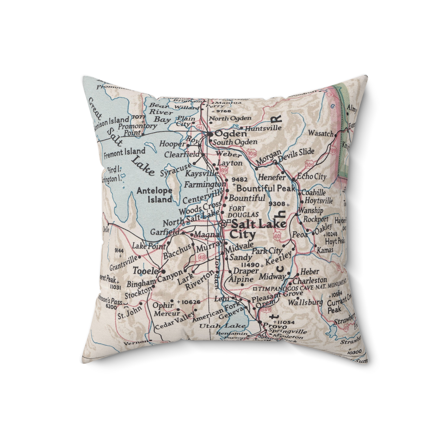 Salt Lake City Utah pillow