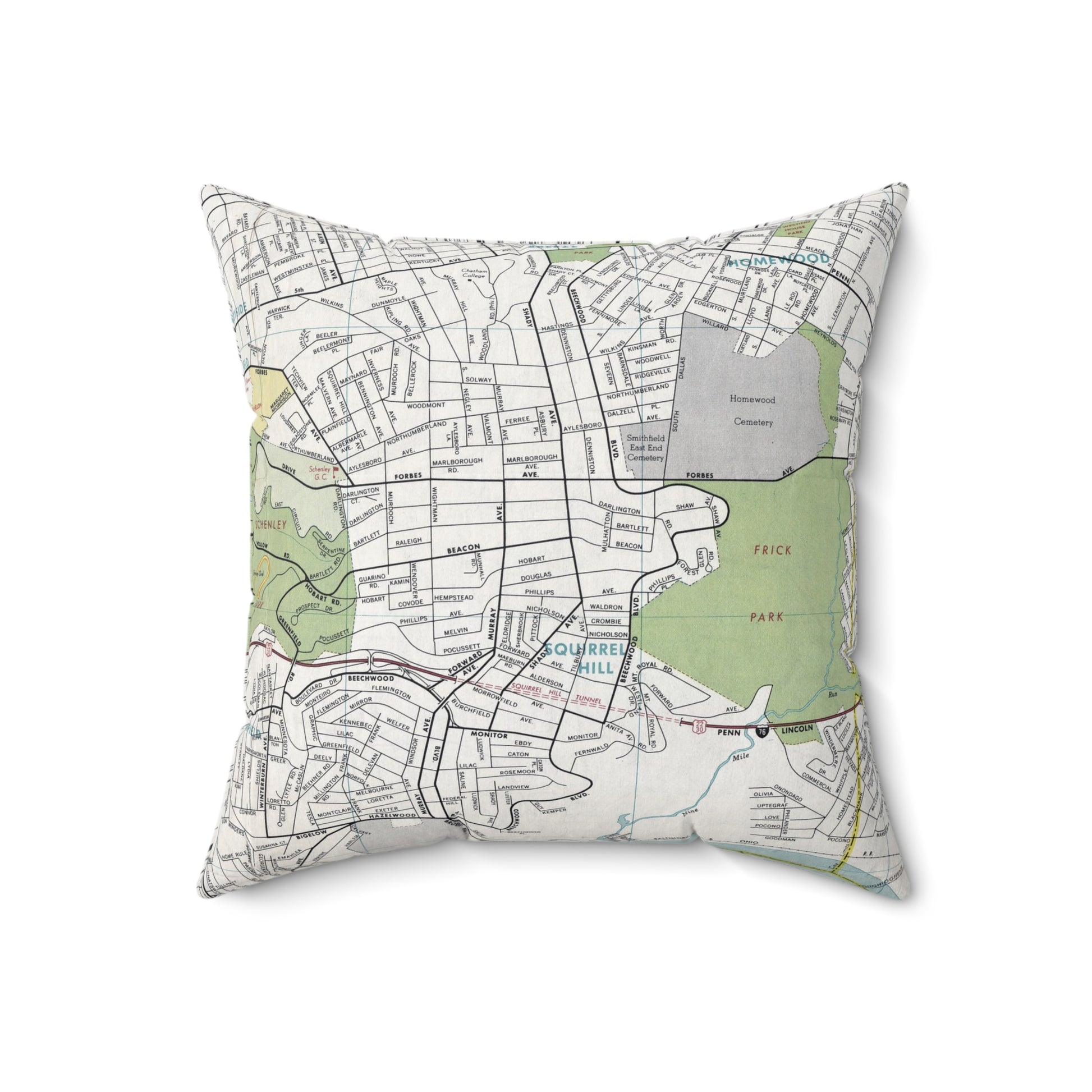 Squirrel Hill Pittsburgh pillow