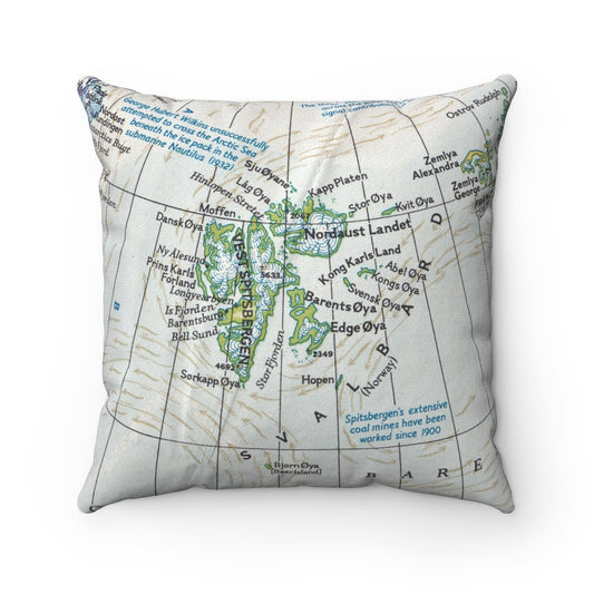 Svalbard pillow