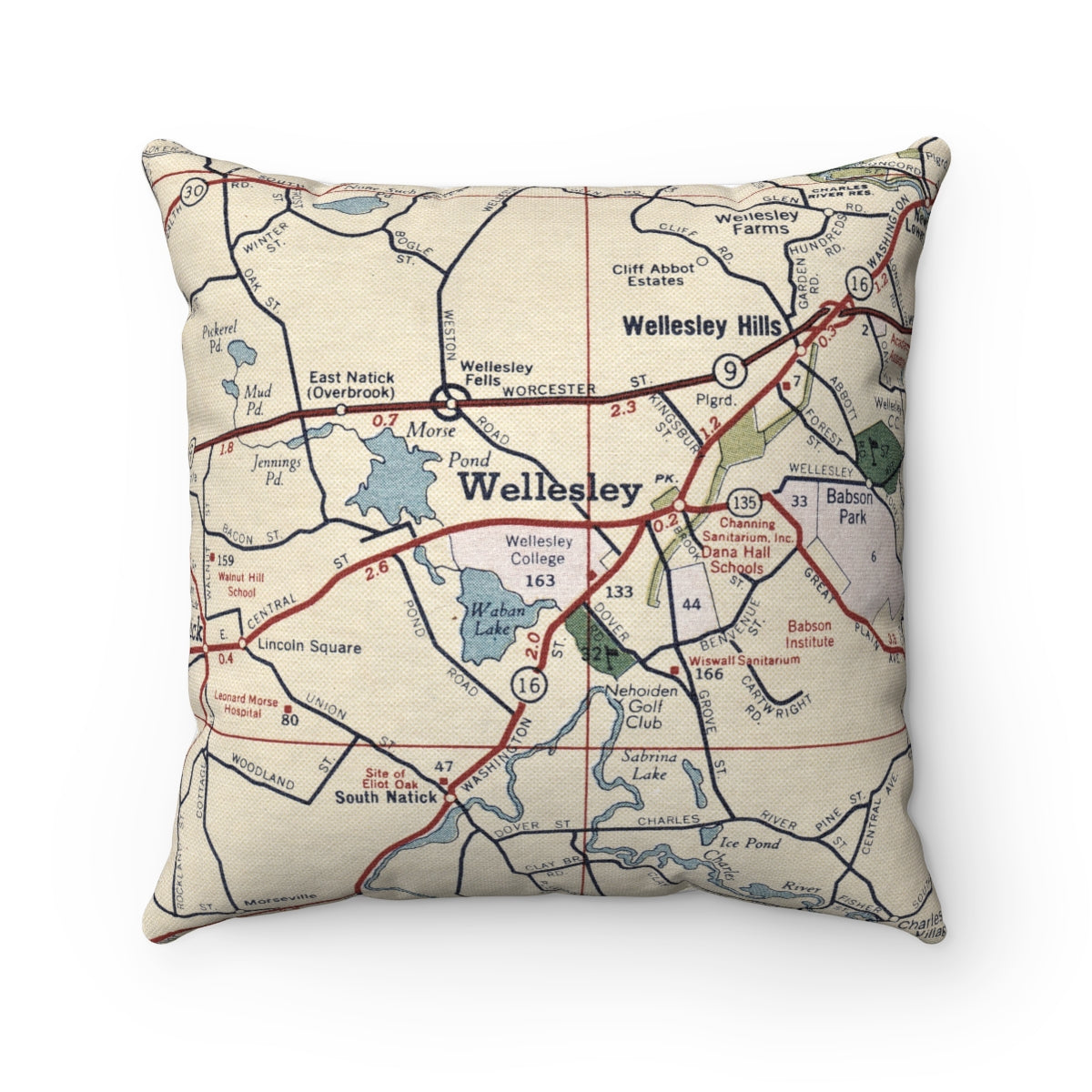 Wellesley College vintage map pillow