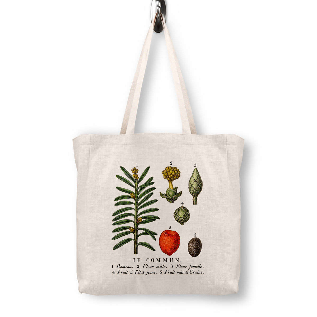 Common Yew Botanical Canvas Tote Bag | 1873 French Lithograph