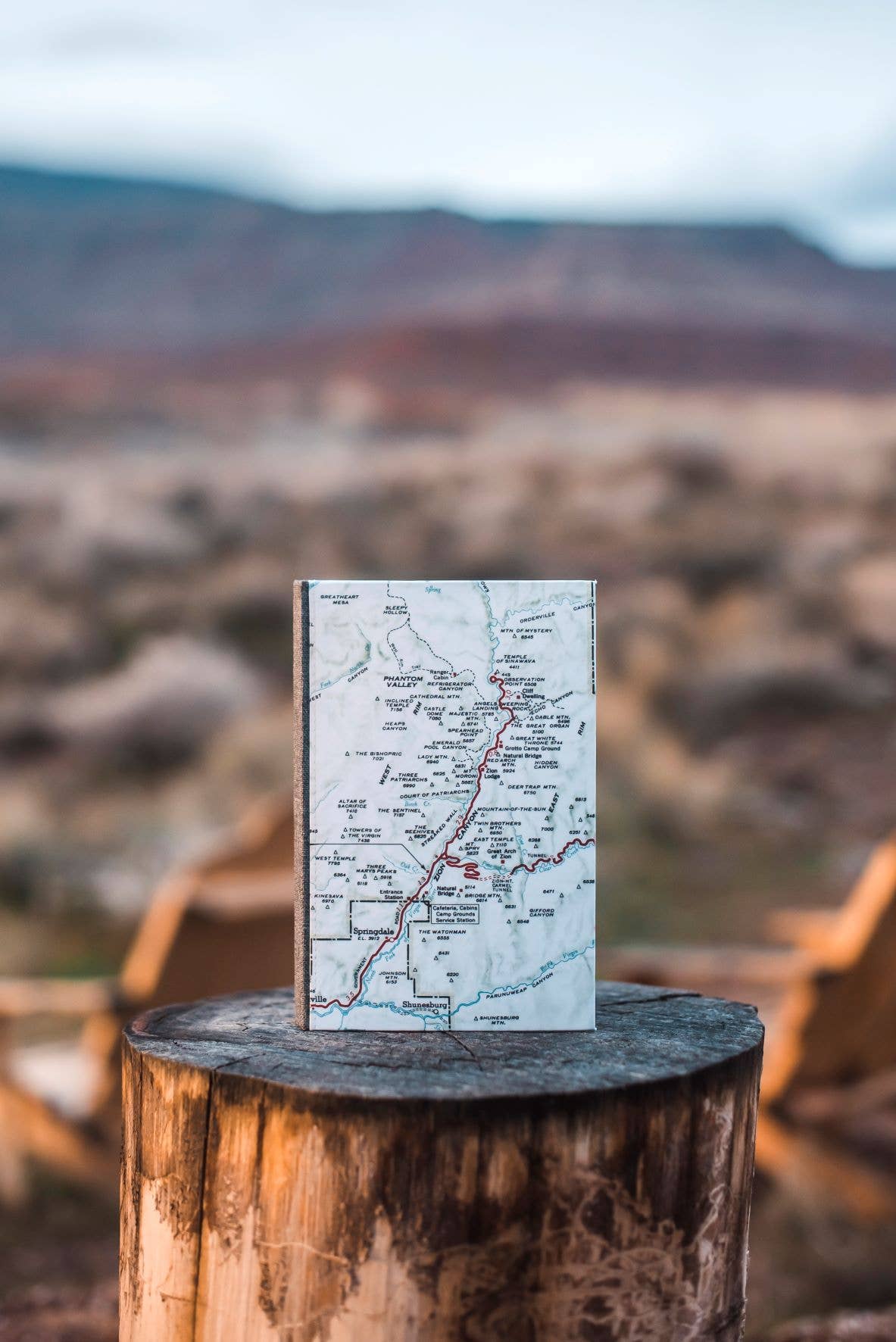 Vintage map journal standing on a tree stump