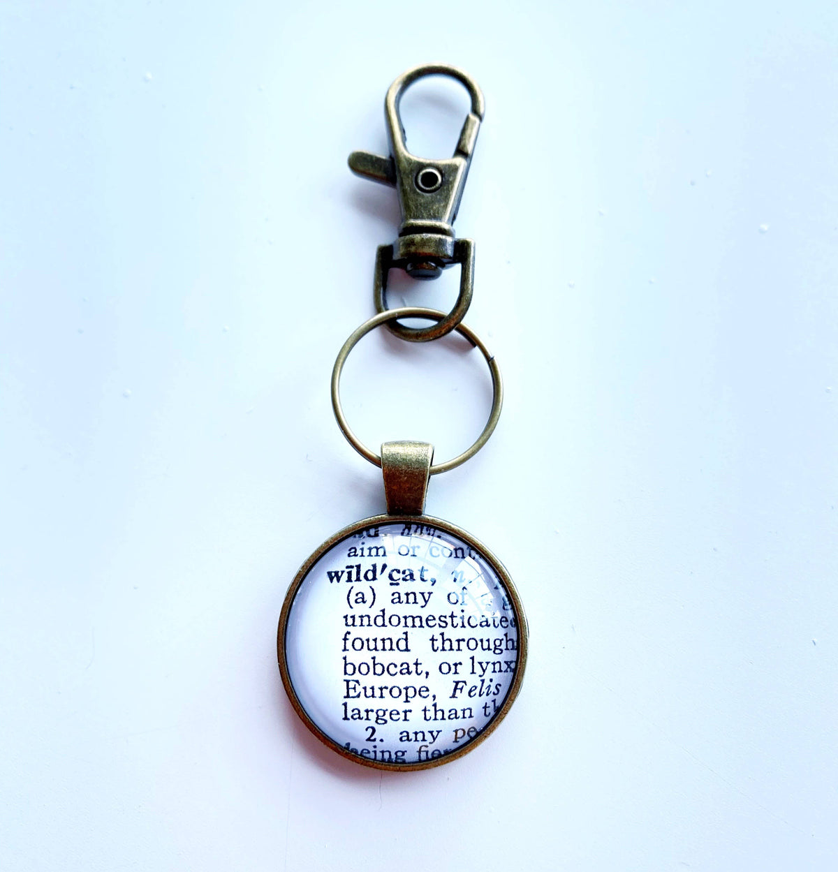 Wildcat vintage dictionary keychain