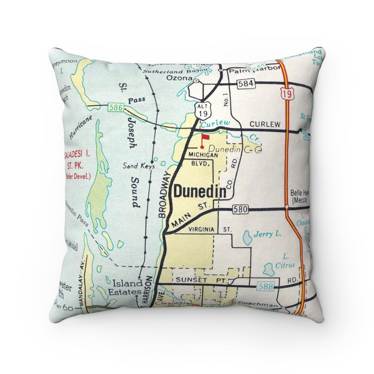 Dunedin Florida Vintage Map Throw Pillow