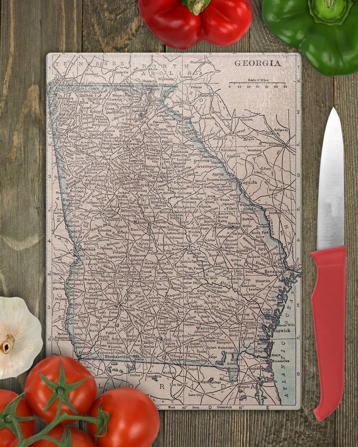 Georgia vintage map glass cutting board