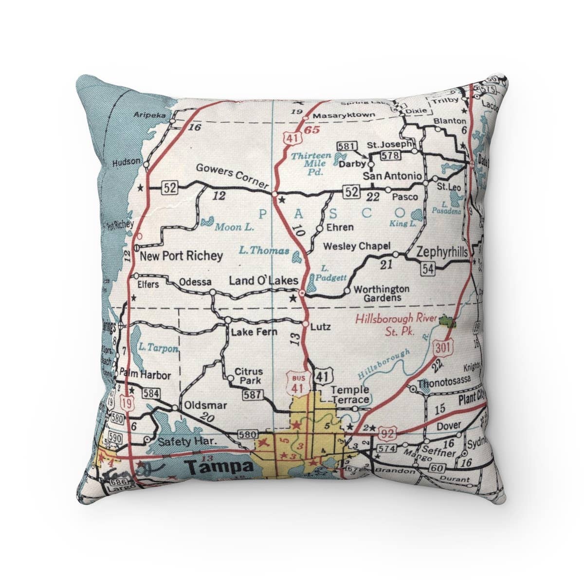 Land O' Lakes Florida vintage map throw pillow