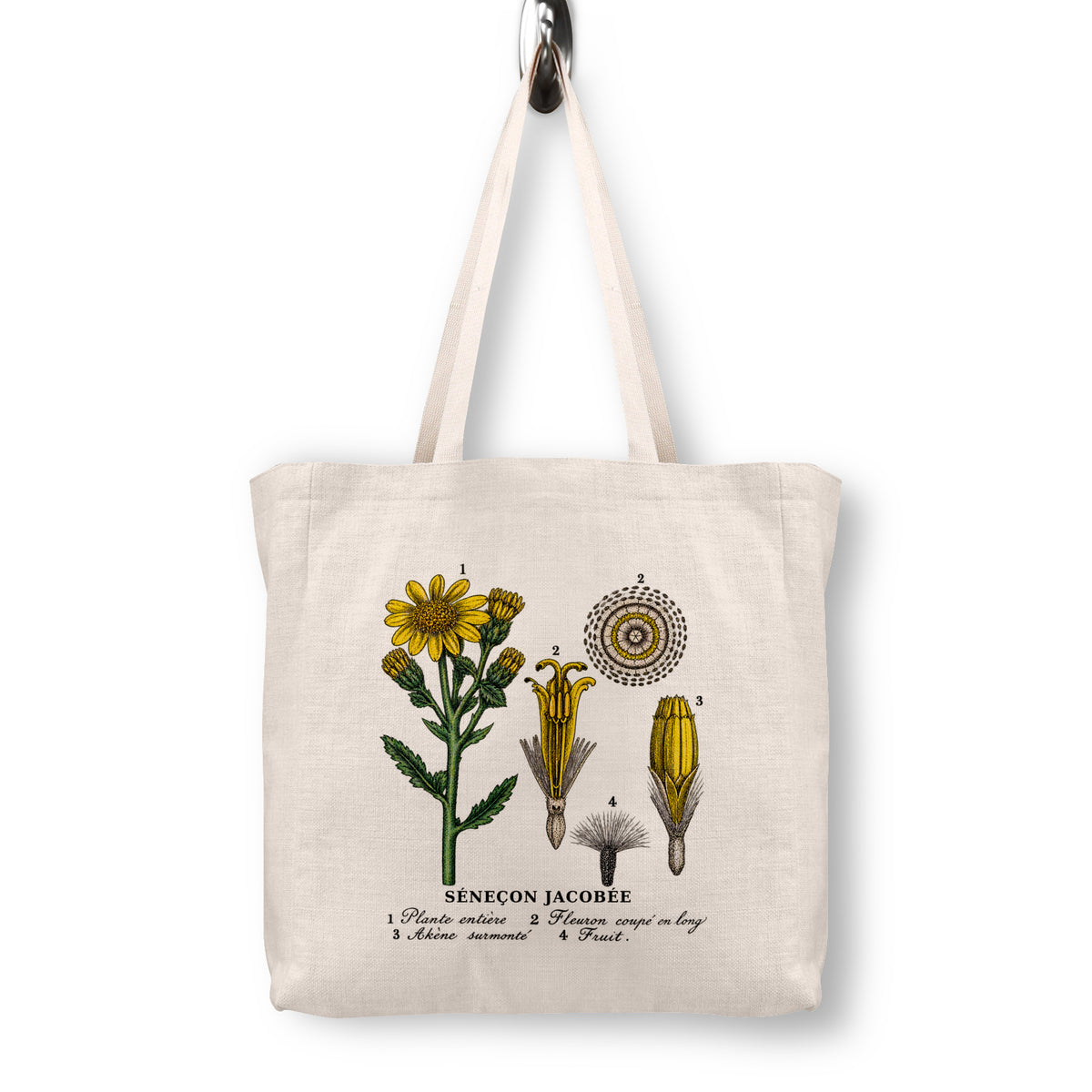 Tansy Ragwort Botanical Canvas Tote Bag | 1873 French Lithograph