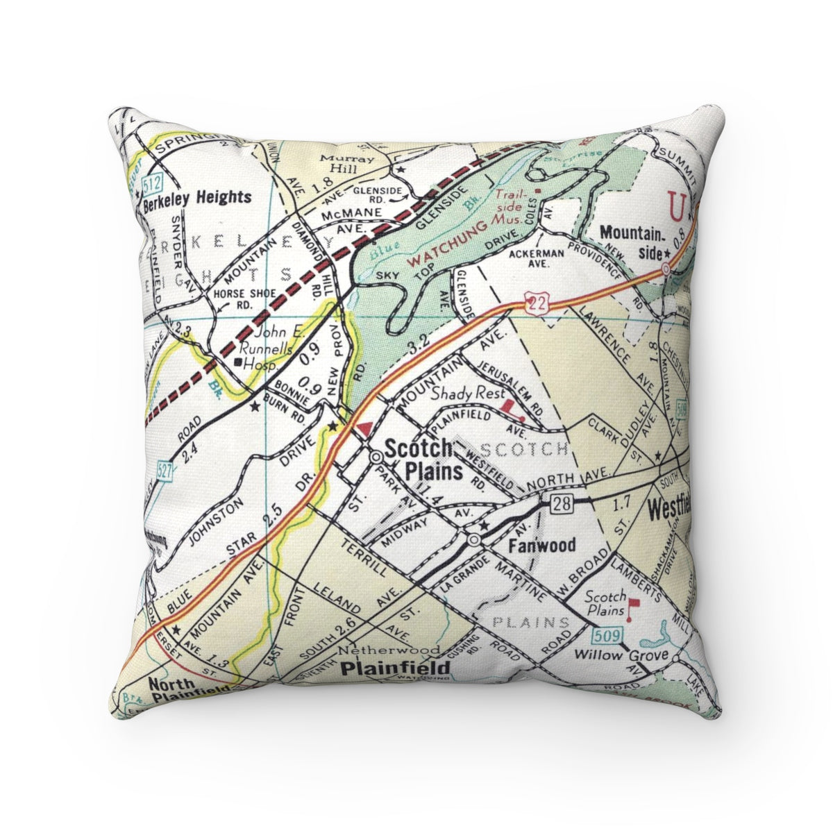 Scotch Plains New Jersey pillow