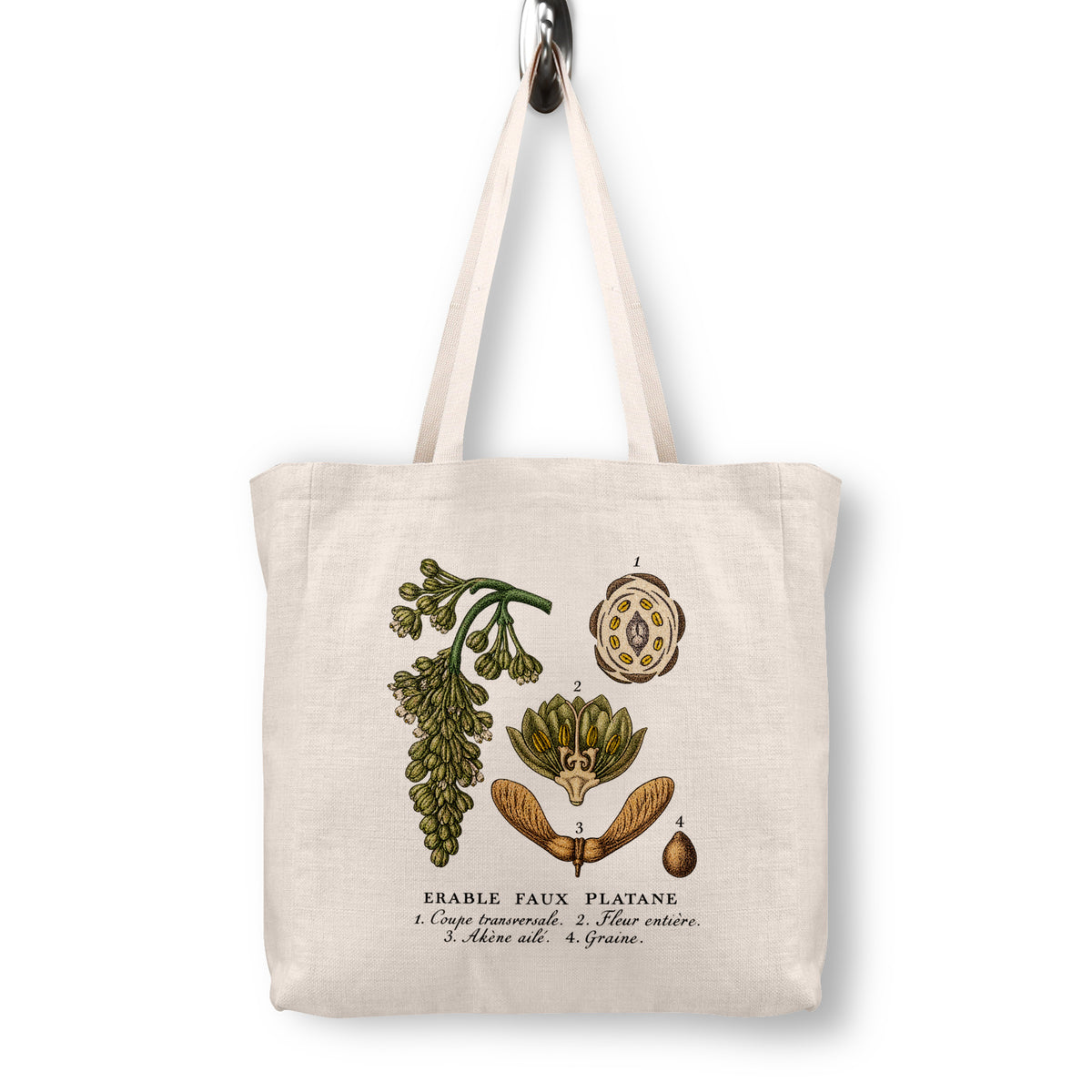 Sycamore Maple Botanical Canvas Tote Bag | 1873 French Lithograph