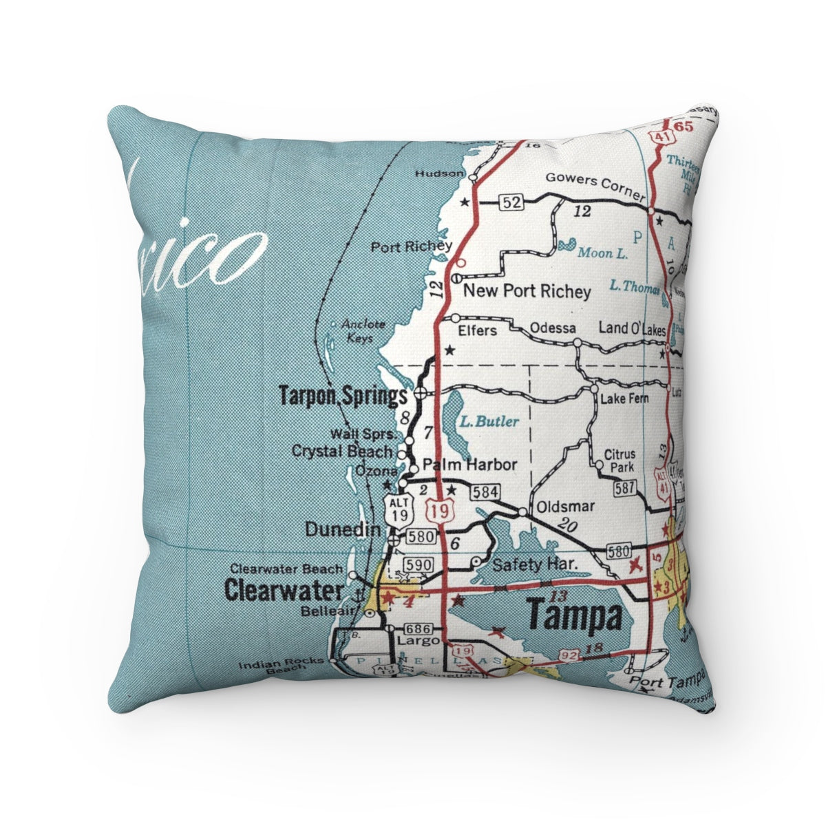 Tarpon Springs Florida vintage map pillow